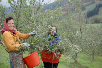 image2 Fattoria Voltrona